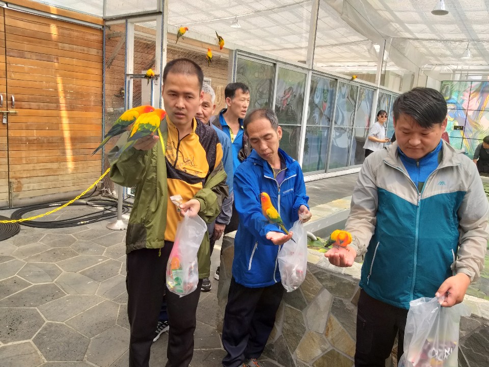 회전_회전_1557828713617.jpg