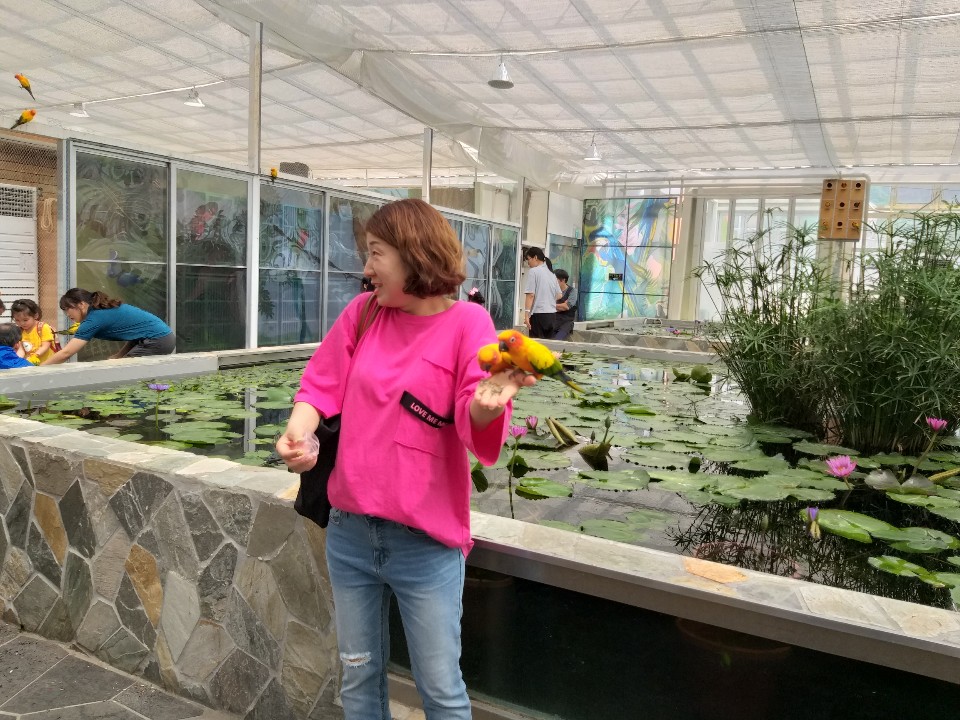 회전_회전_1557828668530.jpg