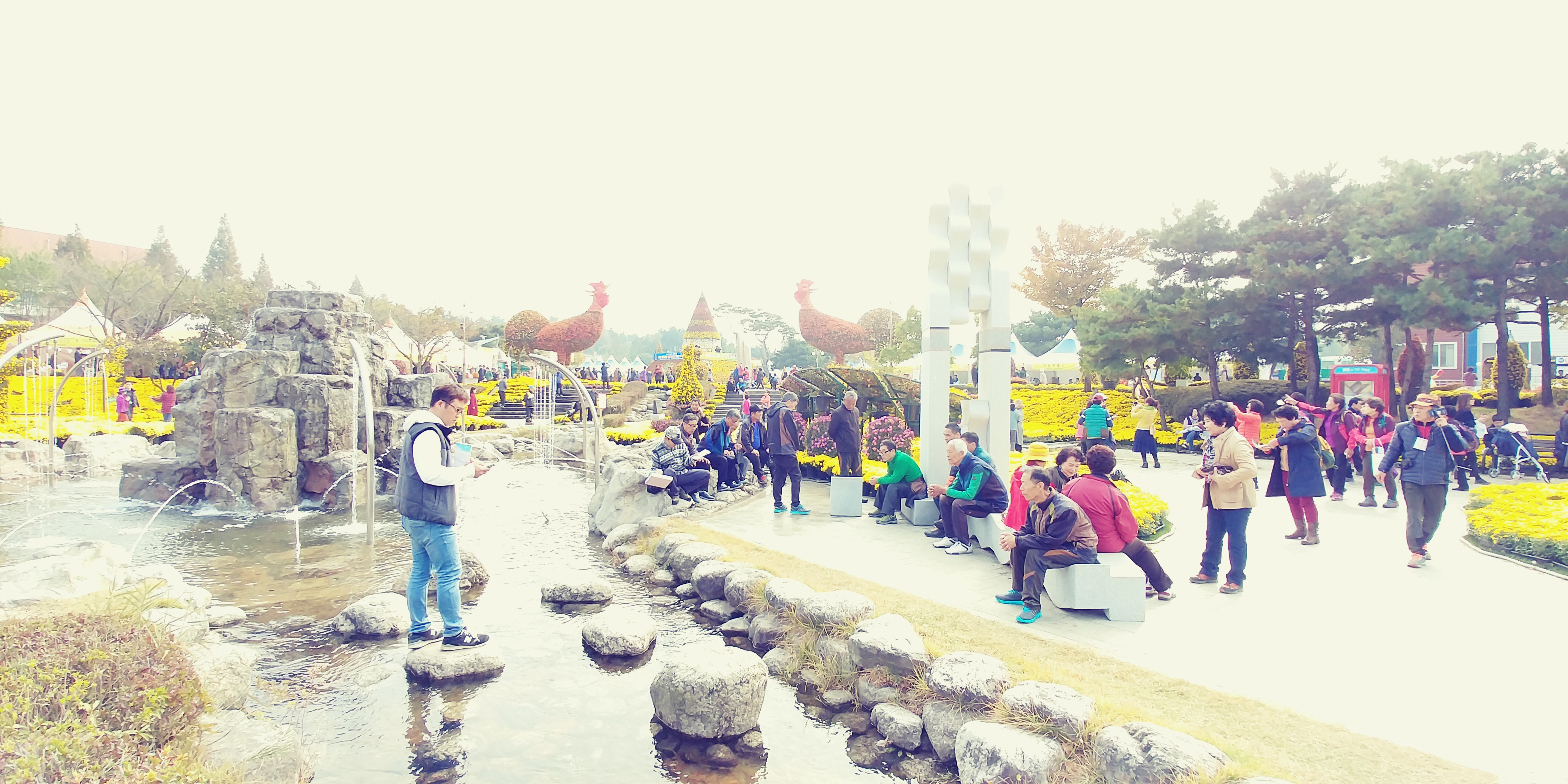 20171102_112551.jpg