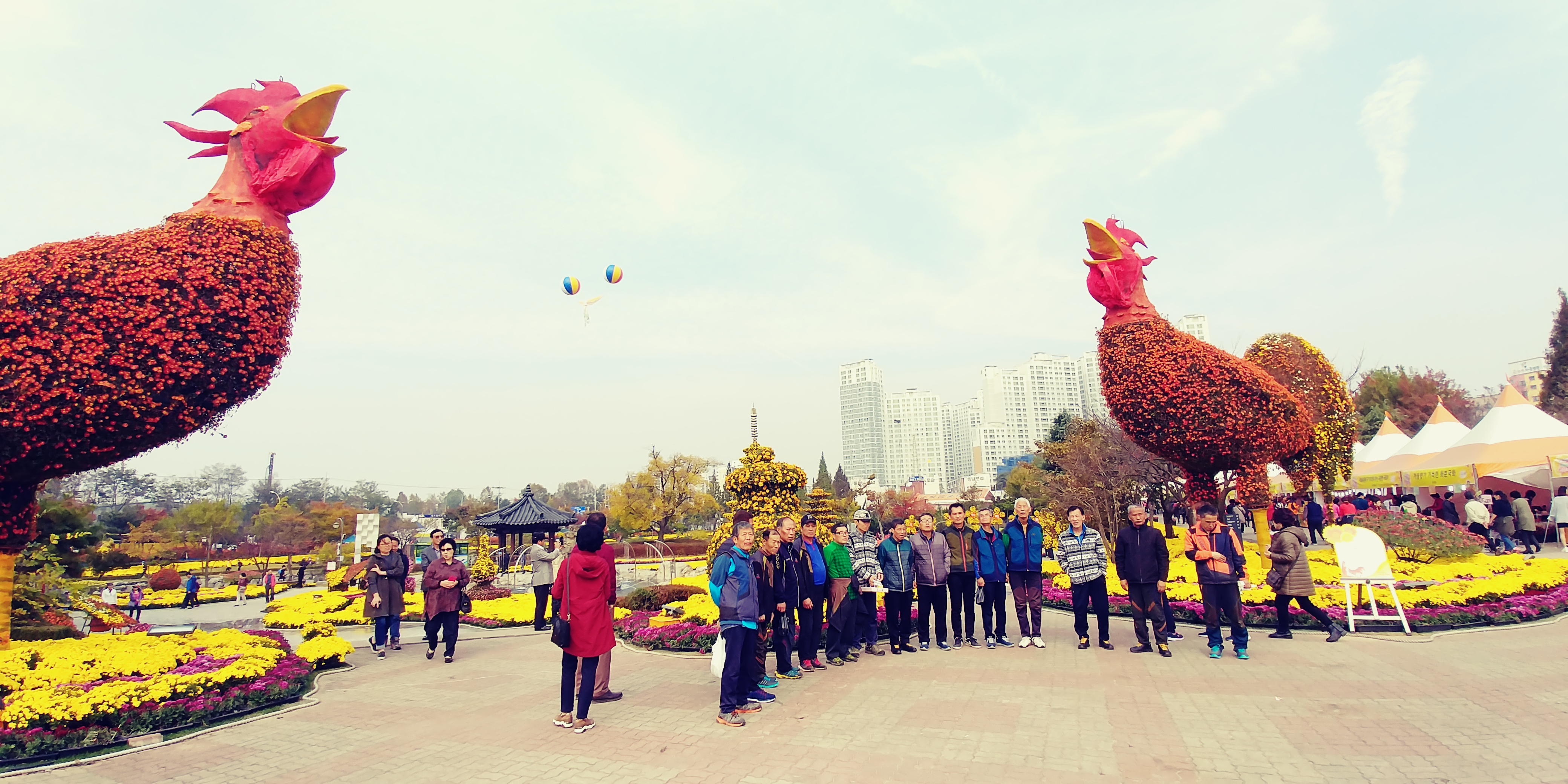 20171102_111915.jpg